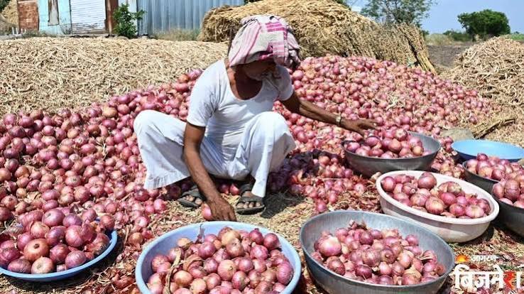 प्याज खरीद पर मोदी सरकार का बड़ा फैसला, NAFED-NCCF के जरिए ₹2,125 प्रति क्विंटल होगी खरीद